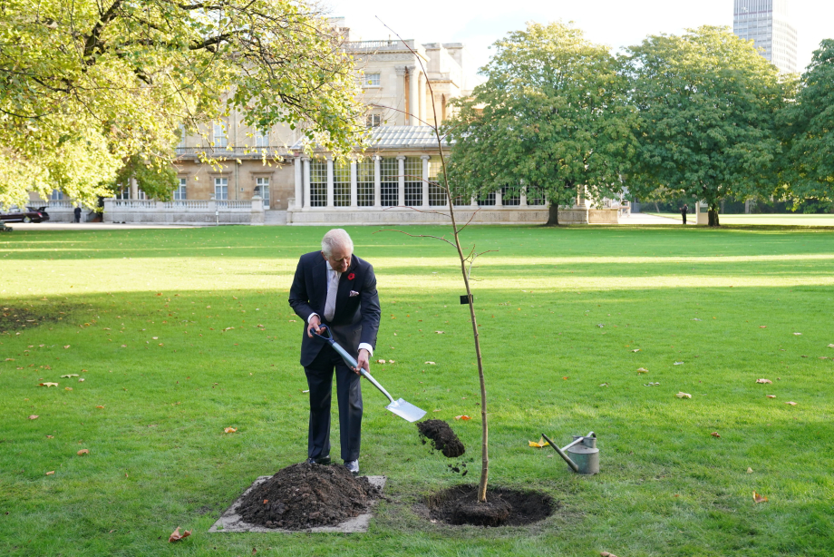 The King plants a tree at Buckingham Palace